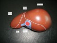 /album/fotogaleria-rotuladas/s6005692-rotulada-jpg1/