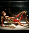 /album/varias/esqueleto-de-exposicion-our-bodies-300x350-jpg/